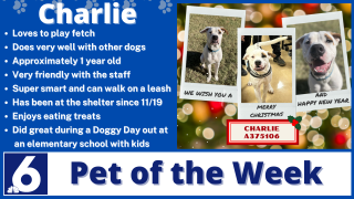 Pet of the Week: Charlie