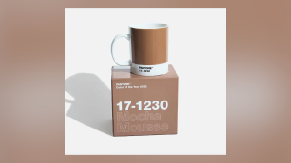 Pantone's color of the year 2025, Mocha Mousse 