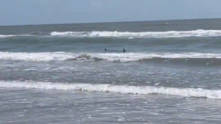 South PAdre Shark attack 