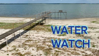 water watch