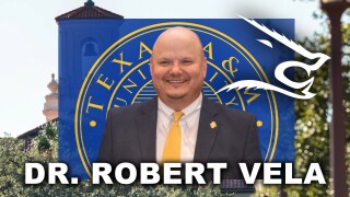 ROBERT VELA PLASMA.jpg